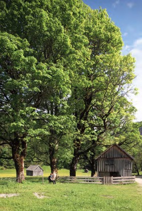 politische_landschaft_clegg_guttmann_berg